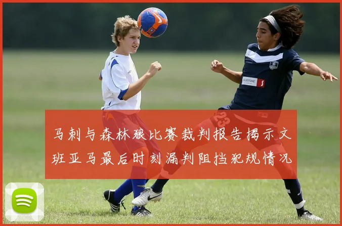 马刺与森林狼比赛裁判报告揭示文班亚马最后时刻漏判阻挡犯规情况