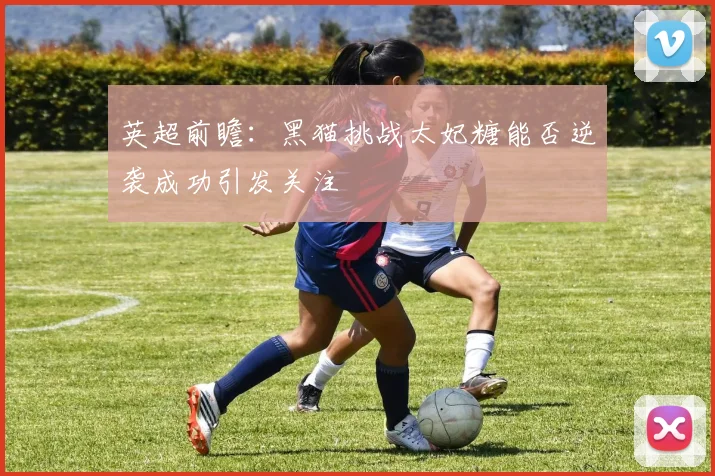 英超前瞻：黑猫挑战太妃糖能否逆袭成功引发关注