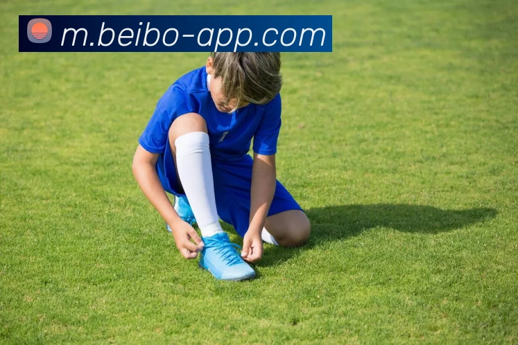 贝博体育发展历程